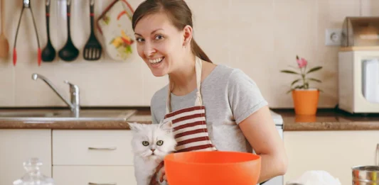 Alimentação caseira para seu pet gato