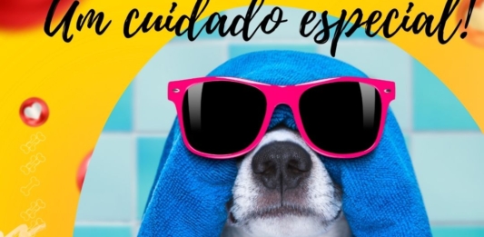 PetShop – Dicas para escolher o melhor para o seu animal de estimação